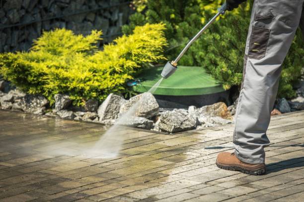 Best Solar Panel Cleaning  in Shelby, MI