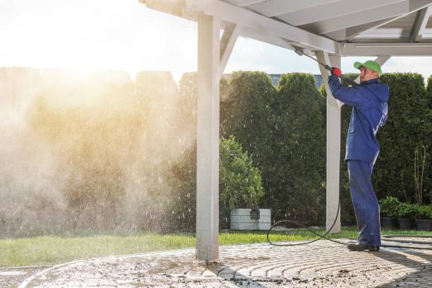 Best Boat and Dock Cleaning  in Shelby, MI
