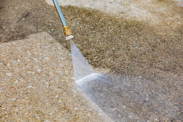 Best Dumpster Area Cleaning  in Shelby, MI