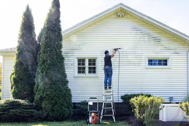 Professional Pressure Washing in Shelby, MI