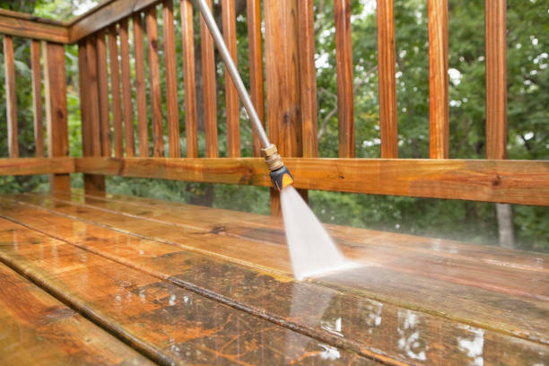 Best Roof Washing  in Shelby, MI